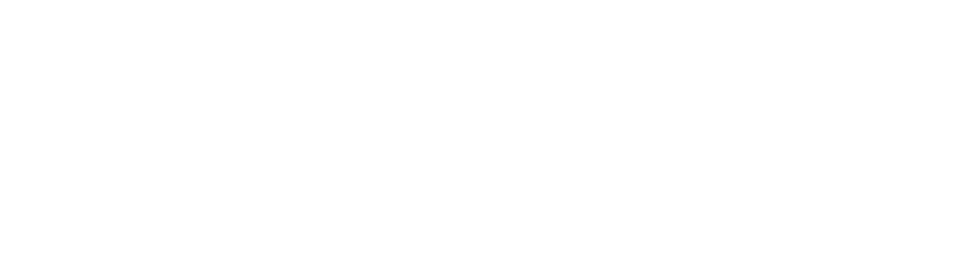 Leads University