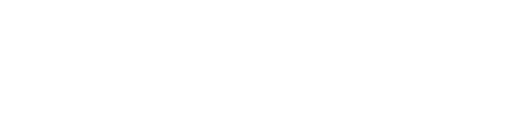 Pachem Global Pvt Ltd